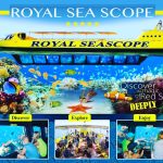 Semi-Submarine Trip in Sharm El Sheikh - photo 2