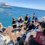 🚤 Ras Mohammed & White Island Boat Trip from Sharm El Sheikh - photo 44