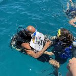 🚤 Ras Mohammed & White Island Boat Trip from Sharm El Sheikh - photo 40