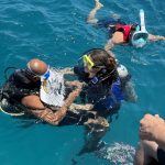 🚤 Ras Mohammed & White Island Boat Trip from Sharm El Sheikh - photo 41