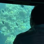 🚢 Semi-Submarine Trip in Sharm El Sheikh - photo 5