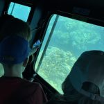 🚢 Semi-Submarine Trip in Sharm El Sheikh - photo 4