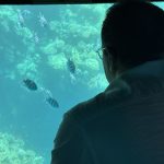 🚢 Semi-Submarine Trip in Sharm El Sheikh - photo 3