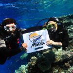 🚤 Ras Mohammed & White Island Boat Trip from Sharm El Sheikh - photo 30