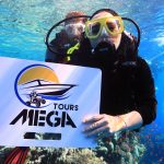 🚤 Ras Mohammed & White Island Boat Trip from Sharm El Sheikh - photo 29