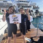 🚤 Ras Mohammed & White Island Boat Trip from Sharm El Sheikh - photo 5