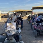 🏜️ Super Safari in Sharm El Sheikh – Ultimate Desert Adventure (5 Hours of Excitement) - photo 13